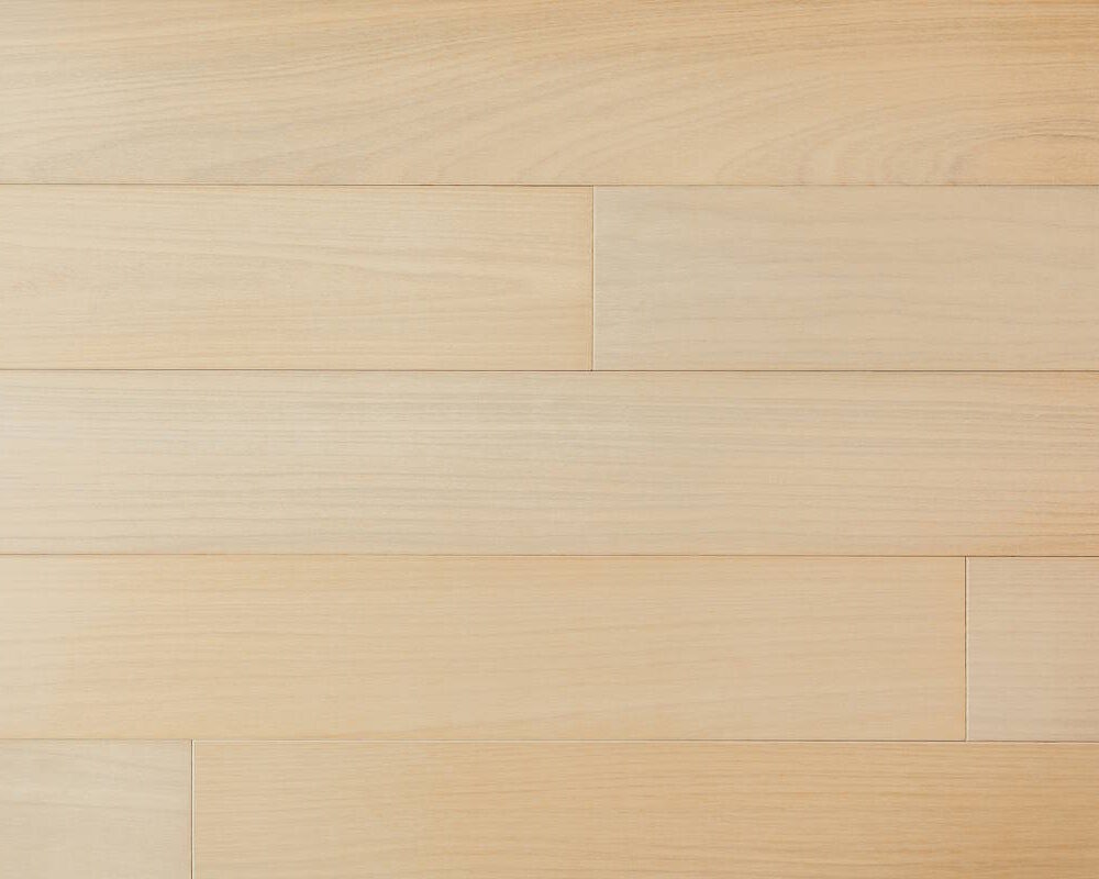 CORA5 CORA5 The Legacy Collection Swatch